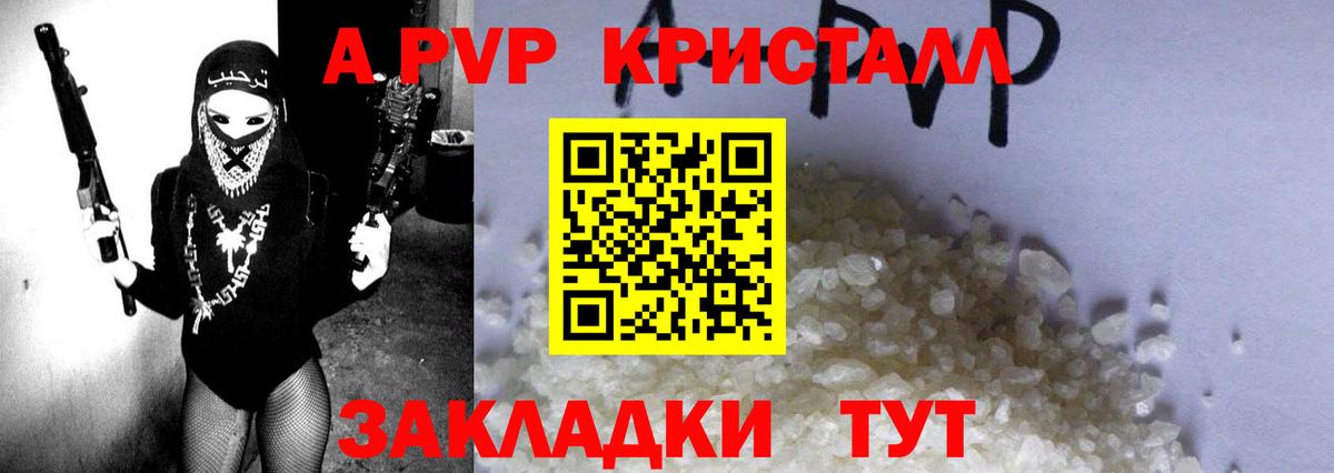 APVP СК КРИС Аша