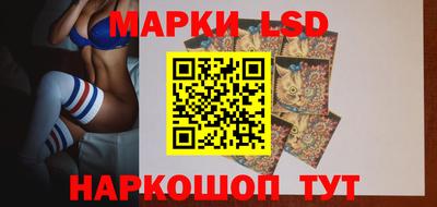 гашик Аргун