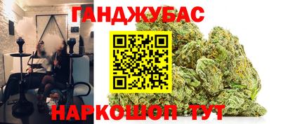 гашик Аргун