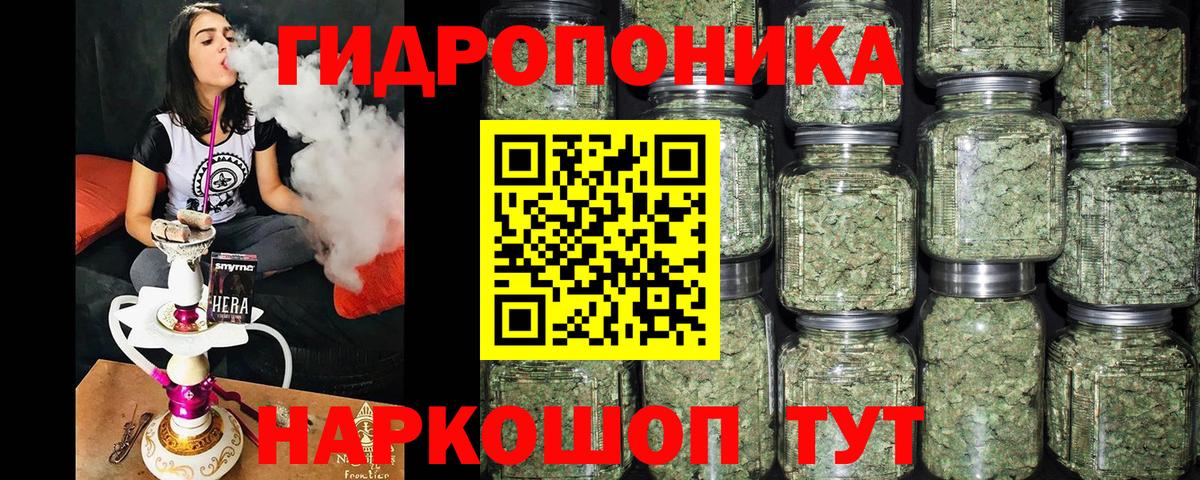 Канабис сатива  Вход с VPN  Аша  Конопля план  Каннабис гибрид 